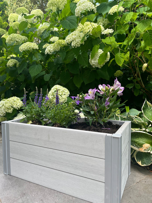 How to choose the right planter for your plants